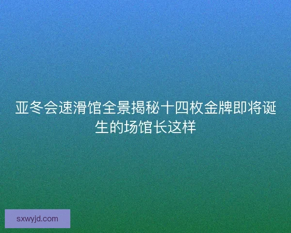 亚冬会速滑馆全景揭秘十四枚金牌即将诞生的场馆长这样